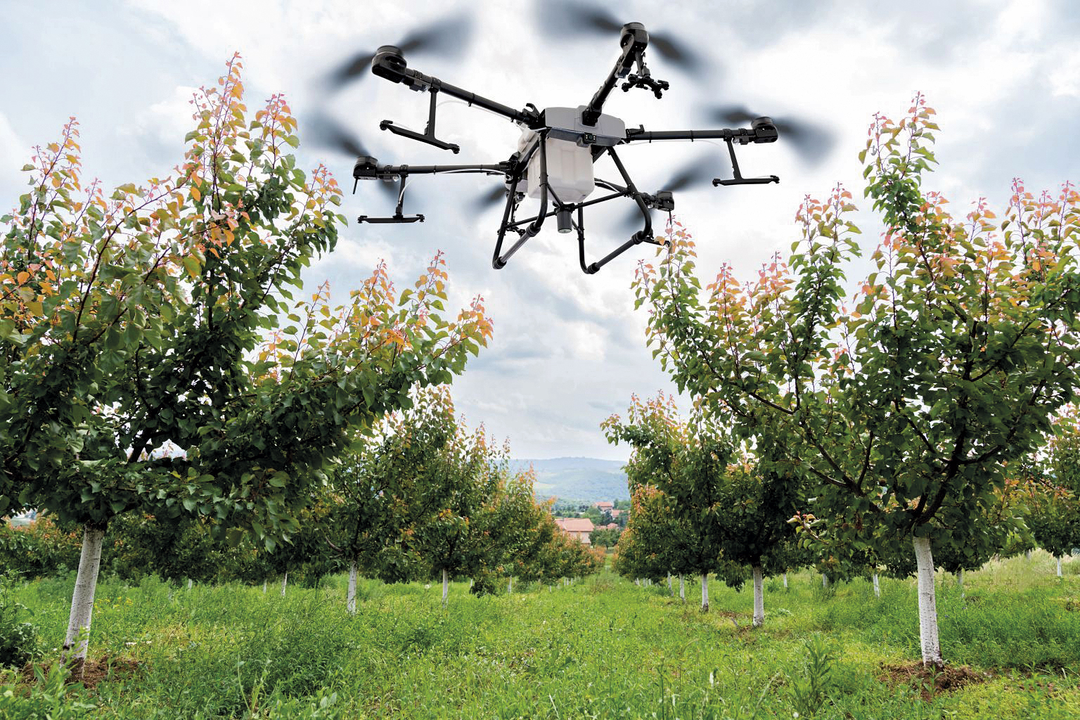 Práce pomocníka sadařů a ovocnářů