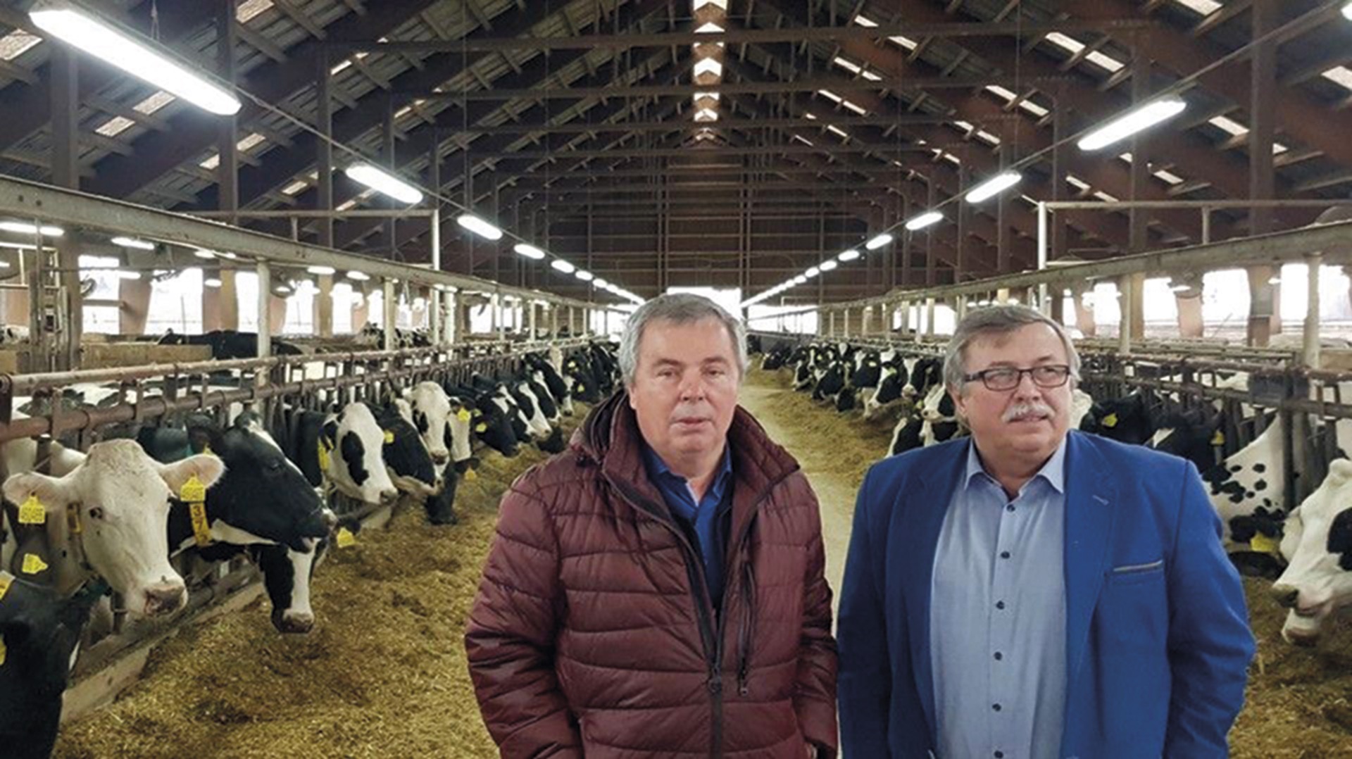 Na snímku vedle generálního ředitele holdingu RABBIT  Trhový Štěpánov Ing. Zdeňka Jandejska je spolumajitel  Ing .Pavel Navrátil ve stáji dceřiné společnosti ZD Trhový Štěpánov a.s.