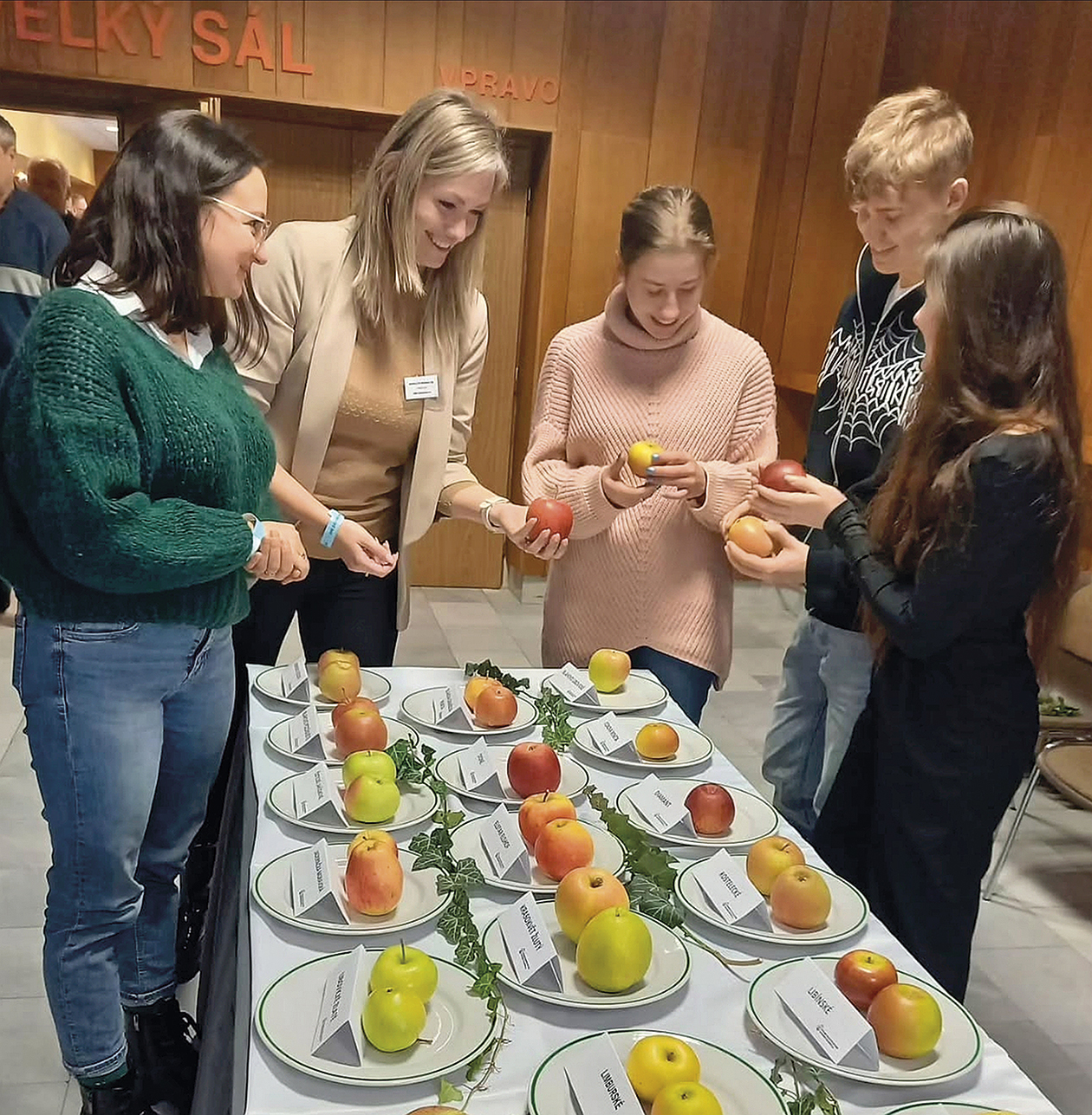 Prohlídka vystavených odrůd jablek